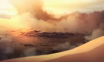 Desert & Oasis